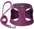 Dog Harness with Leash Set, Step-in Adjustable Puppy Pet Vest, Cranberry XXS by BOOMIBOO
