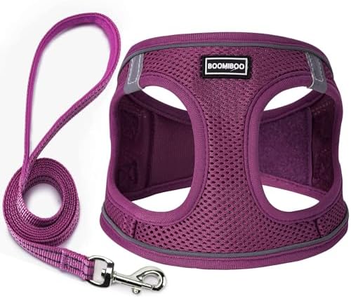 Dog Harness with Leash Set, Step-in Adjustable Puppy Pet Vest, Cranberry XXS by BOOMIBOO
