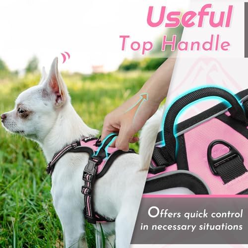 Eagloo Dog Harness for Small Dogs, No Pull Pet Vest - Image 5