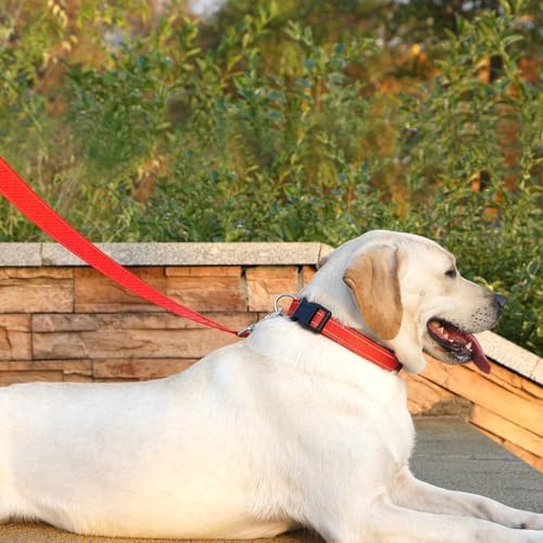 6 FT Basic Dog Leash for Large Dogs - Image 3