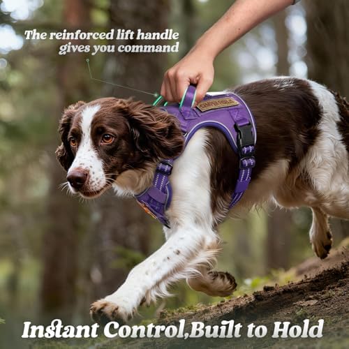 rabbitgoo Tactical Dog Harness for Large Dogs, No Pull Service Pet Vest - Image 5