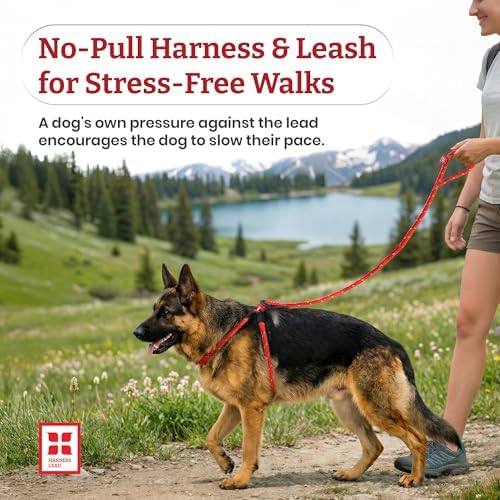 Harness Lead No Pull Dog Harness and Leash Set, Anti Pull Dog Harness, - Image 3