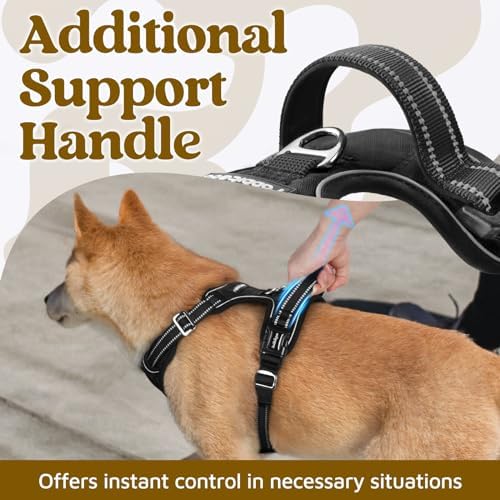 rabbitgoo Dog Harness Small Sized, No Pull 3 Buckles Easy On & Off - Image 4