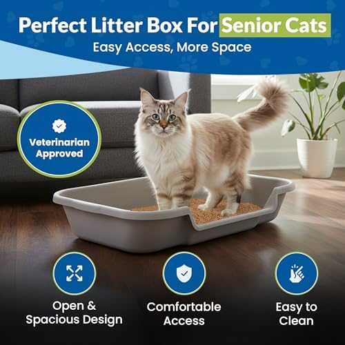 KittyGoHere Senior Cat Litter Box, Large - Image 2