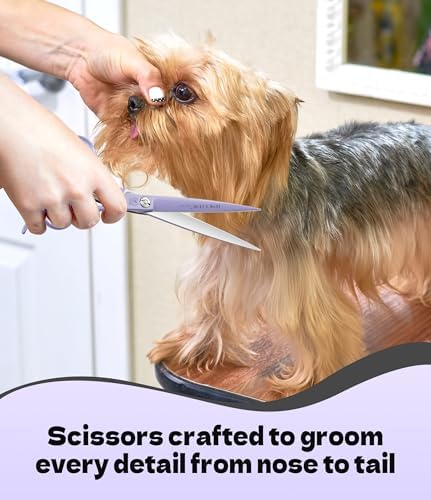 7" Professional Dog Grooming Scissors Set, Japanese 440C Stainless Steel - Image 7