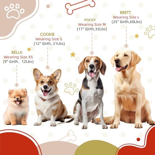 Tri-Color Adjustable Step-in Dog Harness - Image 3