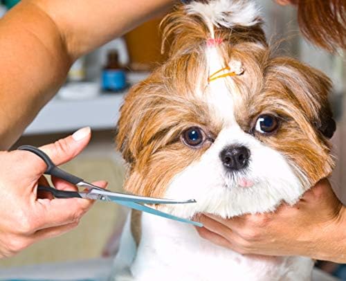 Pets First #1 Pet Grooming Scissors Body & Facial Trimmer Durable Stainless - Image 2