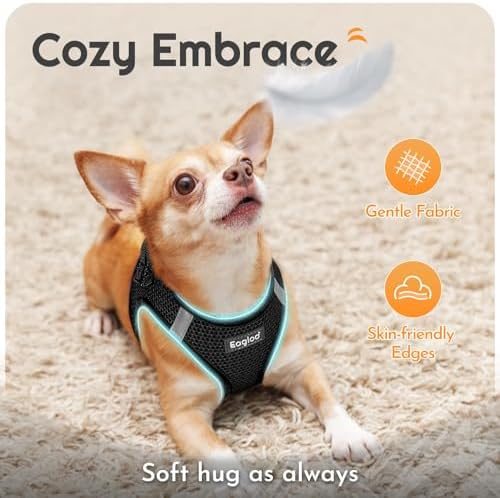 Eagloo Small Dog Harness and Leash Set, Step in Medium Small Puppy Pet Vest - Image 4