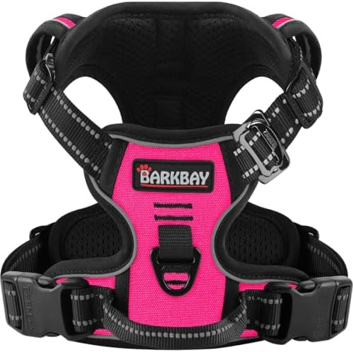 BARKBAY Dog Harness for Small Sized Dog No Pull 2 Clips 3 Buckles Dog Vest by BARKBAY