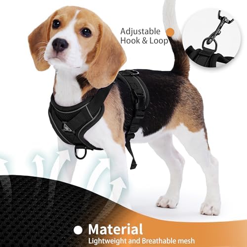 Dog Harness Small Sized Dog Pet Vest - Image 4