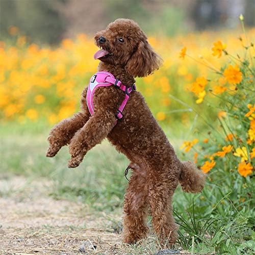 TRUE LOVE Dog Harness TLH5991 Anti Pull Safety Vest Step-in Style Harness - Image 5