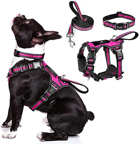 WINSEE Pet Harness Collar and Leash Set, All-in-one Reflective Dog Harness No by WINSEE