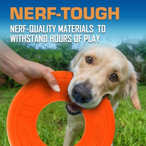 Nerf Dog Atomic Flyer Outdoor Dog Toy, 10 Inch Flying Disc Dog Fetch Toy - Image 5