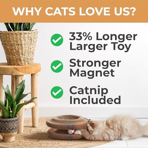 2-Pack Accordion Cat Toy Scratchers - Image 2