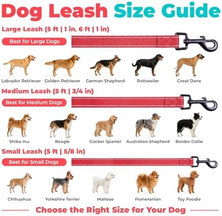 Best Pet Supplies Voyager Nylon Dog Leash - 6ft Red - Image 6