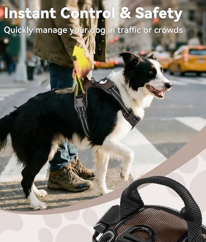Joytale No Pull Dog Harness Medium Sized Dog, Front Clip - Image 3
