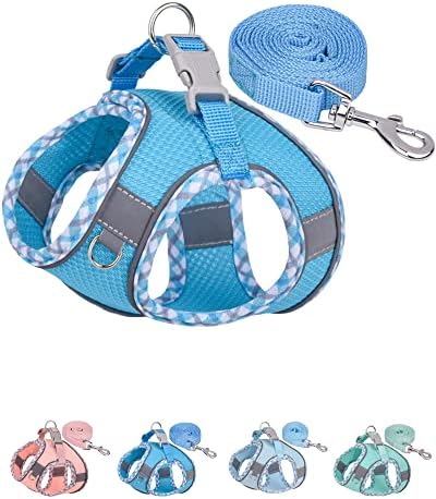 Petank Step in Dog Harness No Pull and Leash by PetankCareforEveryPaw