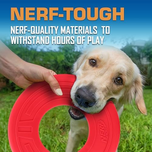 Nerf Dog Atomic Flyer Outdoor Dog Toy, 10 Inch Flying Disc Dog Fetch Toy - Image 5