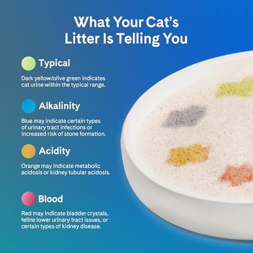 PrettyLitter Health Monitoring Cat Litter, Calm Aloe, 6 lb. Bags - Image 6