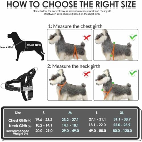 Lukovee No Pull Dog Harness and Leash Set, Soft Padded - Image 5