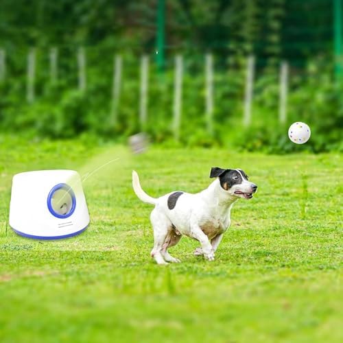 6 Pack Dog Toy Balls, 2.3 Inch ETPU Material, Replacement Balls - Image 7