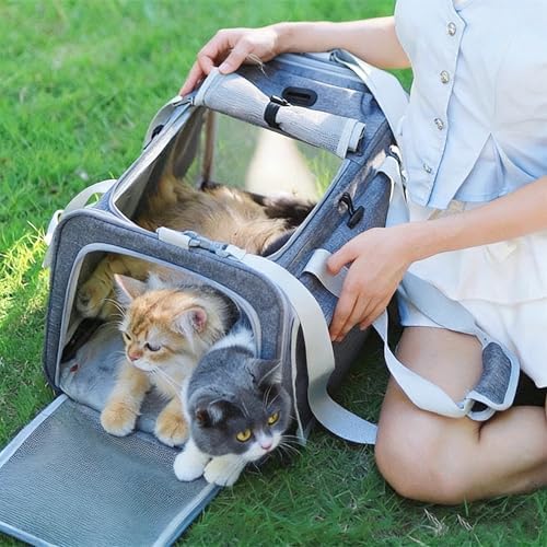 Pet Carrier Bag for Cats & Small Dogs, Airline Approved Travel Cat Carrier - Image 5