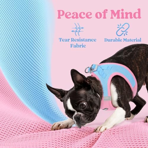 rabbitgoo Step-in Small Dog Harness, Puppy Vest - Image 4