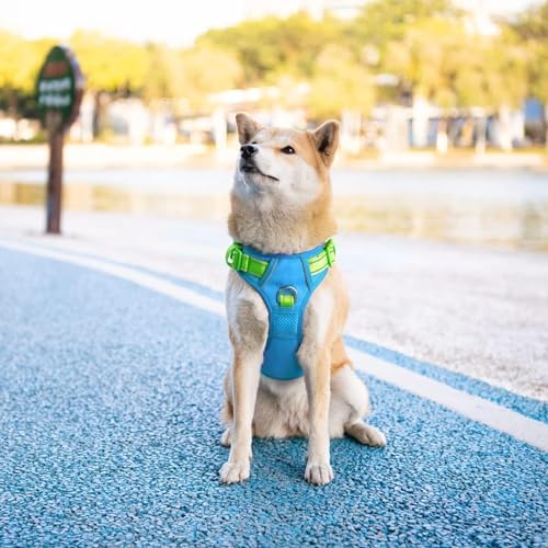 PHOEPET No Pull Dog Harness, Unique Colors Reflective Adjustable Dog Vest - Image 3