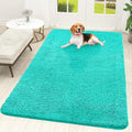 OLANLY Dog Door Mat for Muddy Paws 70x46, Super Absorbent Chenille Mud Mat by OLANLY