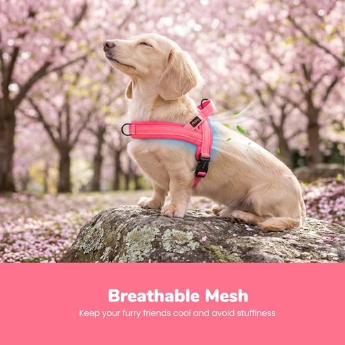 Didog No Pull Dog Harness for Small Dogs, Breathable Mesh Padded - Image 2
