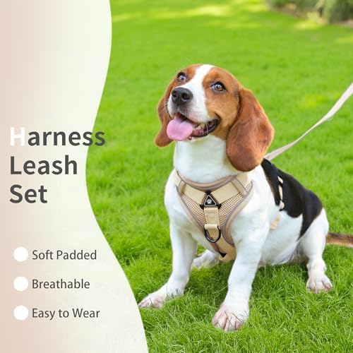 Dog Harness Small Sized Dog Pet Vest - Image 5