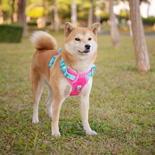 PHOEPET No Pull Dog Harness, Unique Colors Reflective Adjustable Dog Vest - Image 5