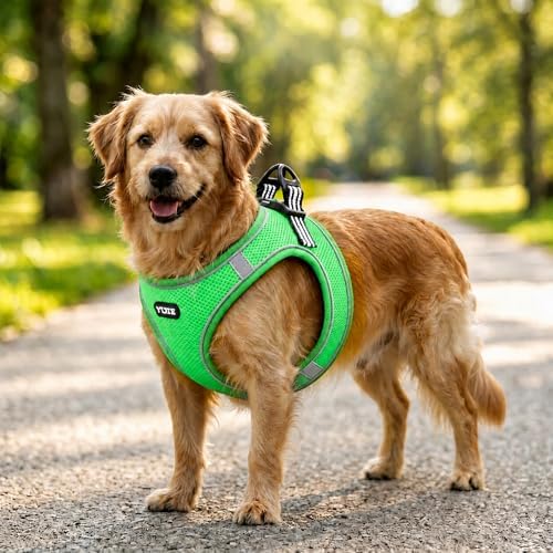 ROYPET Step-in Air Dog Harness, All Weather Mesh Step in Vest Harness - Image 2