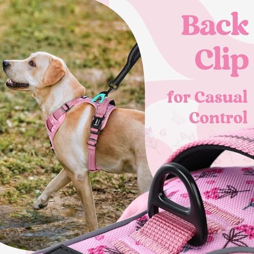 rabbitgoo Dog Harness for Large, Updated Easy On & Off - Image 6
