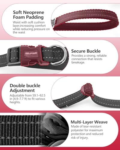 3-in-1 Double Dog Leash, Hands-Free Convertible Leash - Image 3