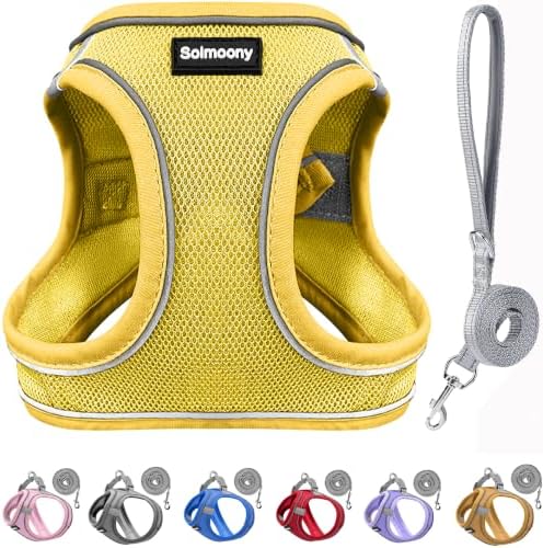 Solmoony Sparkly XXXS Dog Harness and Leash Set, Step in Soft Light Puppy Vest by SOLMOONY