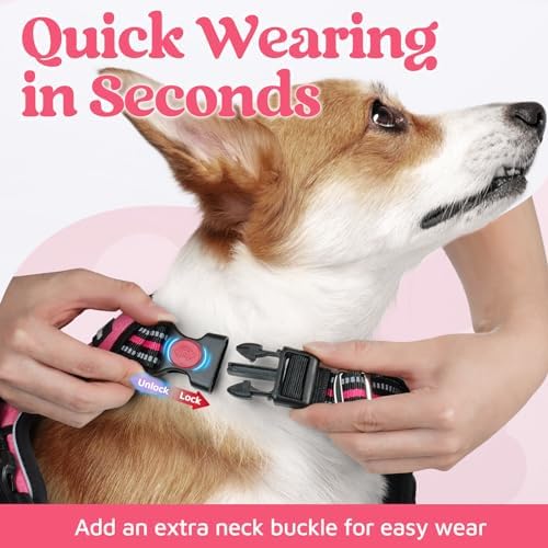 rabbitgoo Dog Harness Medium Sized, No Pull 3 Buckles Easy On & Off - Image 2