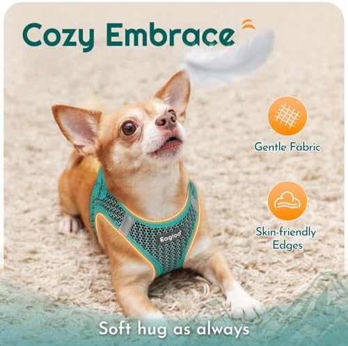 Eagloo Small Dog Harness and Leash Set, Step in Small Sized Puppy Pet Vest - Image 4
