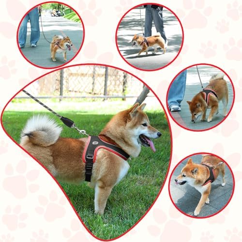 Dog Harness and Leash Set, No Pull Saddle Style Pet Harness, Breathable Mesh - Image 6