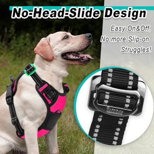 BARKBAY Dog Harness for Small Sized Dog No Pull 2 Clips 3 Buckles Dog Vest - Image 2