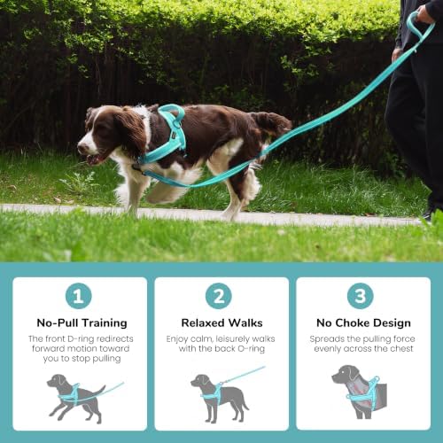 Didog No Pull Dog Harness for Medium Dogs, Soft Flannel Padded - Image 4