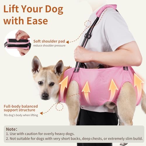 Mayerzon Full Body Dog Lift Harness, Support Senior & Disabled Dogs Walking - Image 2