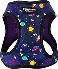 Downtown Pet Supply Step-in Dog Harness – No Pull, Adjustable Padded Mesh by DowntownPetSupply