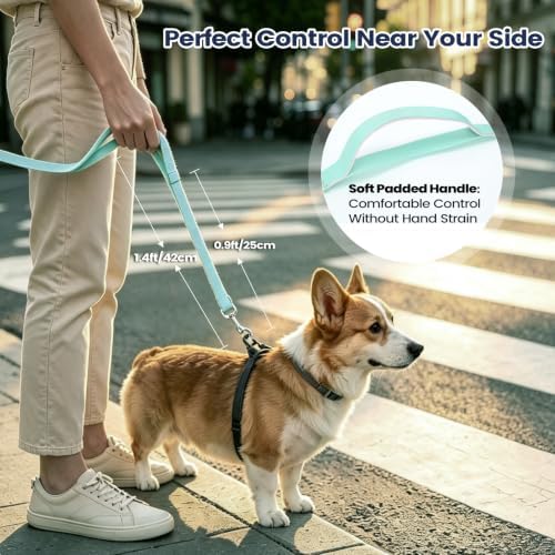 Hands Free Dog Leash, Crossbody Waist Dog Leash, Small Medium Dog Walking - Image 5
