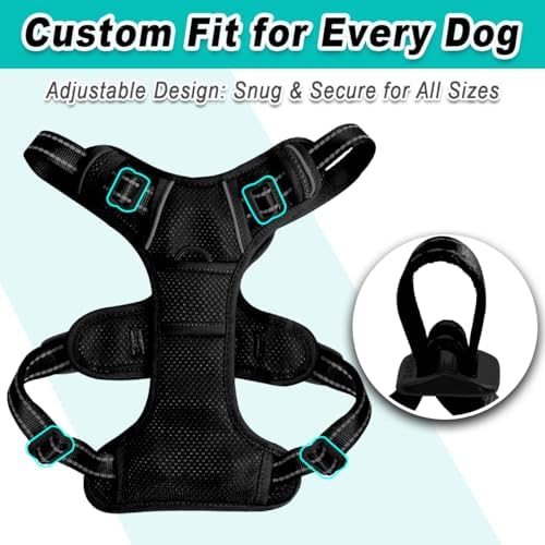 BARKBAY Dog Harness for Large Dog No Pull Mesh 2 Clips Dog Vest - Image 6
