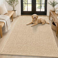 Smiry Dog Door Mat for Muddy Paws 59x35, Ultra Absorbent Chenille Doormat by Smiry