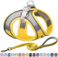 AIITLE Small Dog Harness and Leash Set, Step-in Puppy Pet Vest by AIITLE-FORPETSBETTERLIFE