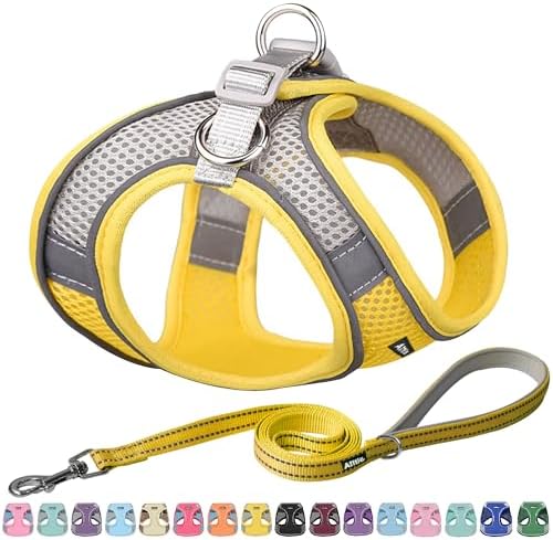AIITLE Small Dog Harness and Leash Set, Step-in Puppy Pet Vest by AIITLE-FORPETSBETTERLIFE