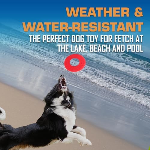 Nerf Dog Atomic Flyer Outdoor Dog Toy, 10 Inch Flying Disc Dog Fetch Toy - Image 4
