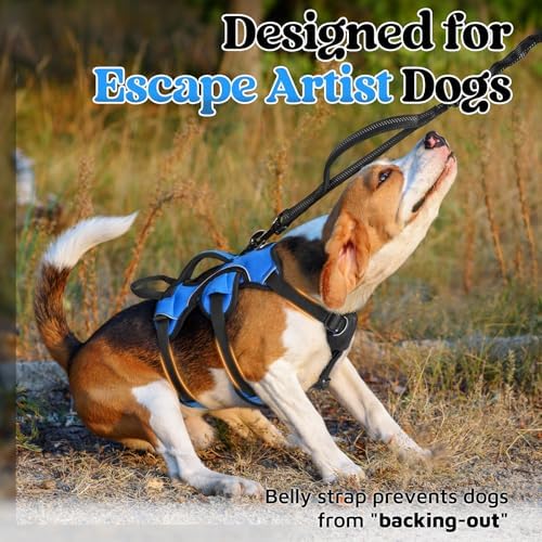 rabbitgoo Escape Proof Dog Harness - Image 2